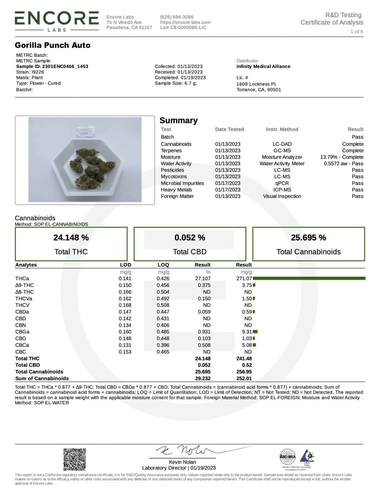 Gorilla Punch Auto – FastBuds – Autoflowering