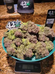 Ztrawberriez Auto