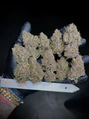 BANANA PURPLE PUNCH AUTO
