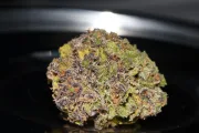 Smoothie Auto