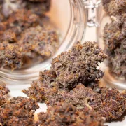 Auto Blackberry Kush