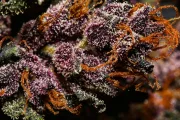 Crystal Meth Auto