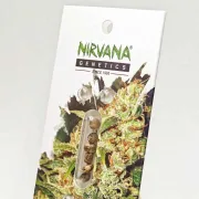 Auto Jock Horror – Nirvana Seeds – Autoflowering