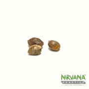 Nirvana Master Kush – Nirvana Seeds – Feminized