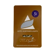 Auto Northern Lights – Pyramid Seeds – Autoflowering