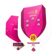 Feminisiert Mix – Royal Queen Seeds – Feminized
