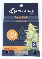 Afghan Kush Regular cannabis flower bud by World of Seeds