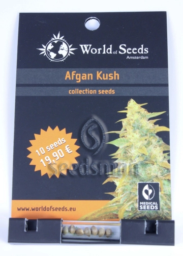 Afghan Kush Regular cannabis flower bud by World of Seeds