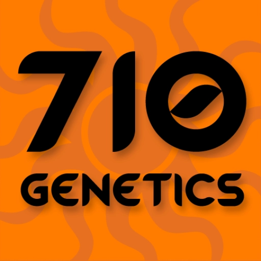 Sour White – z710 Genetics – Feminized