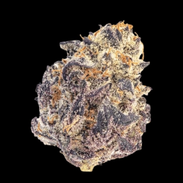 Cherry Mac Muffin Feminized cannabis flower bud by Growers Choice