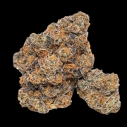 King Louis Garcia Feminized cannabis flower bud by Growers Choice