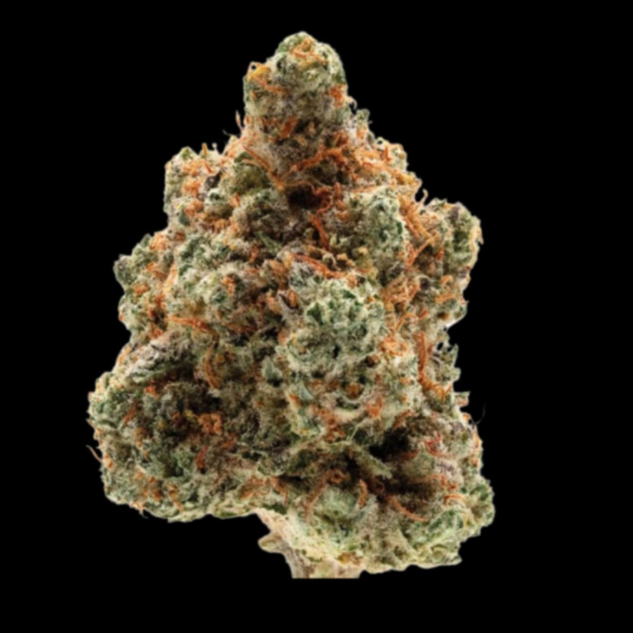 Monkey Glue – Growers Choice – Feminized