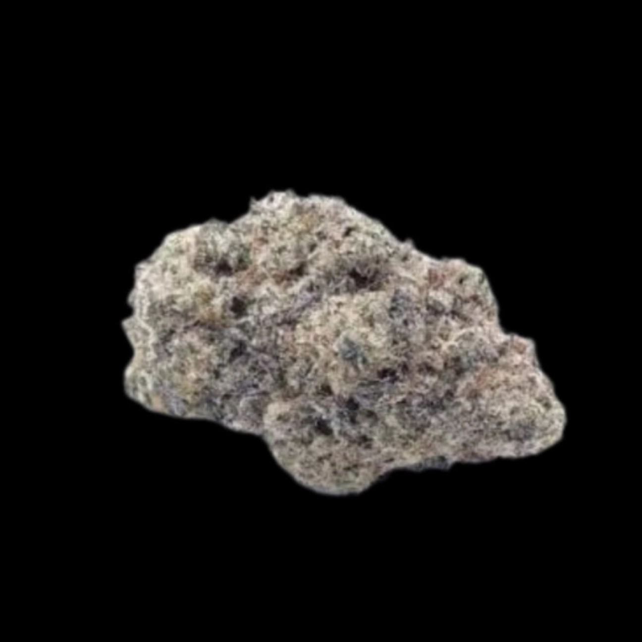 Cherry Zoap – Growers Choice – Autoflowering