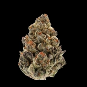 Bruce Banner III Feminized cannabis flower bud by Growers Choice