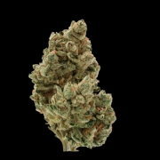 Frosty Gelato Feminized cannabis flower bud by Growers Choice