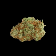 Monsterbud Feminized cannabis flower bud by Growers Choice