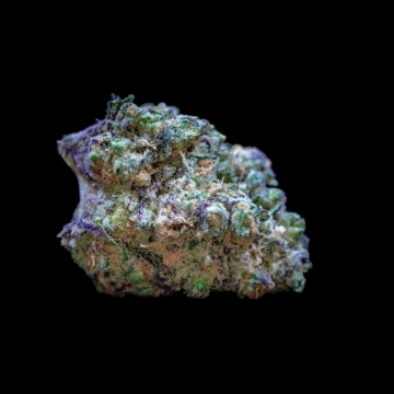 Frozen Cherry Runtz Feminized cannabis flower bud by Growers Choice