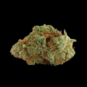 Naranja Biscotti Fast Version Feminized cannabis flower bud by Growers Choice