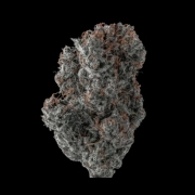 Applez and Bananaz Feminized cannabis flower bud by Growers Choice