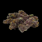 Blue Diesel Autoflowering cannabis flower bud by Growers Choice