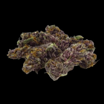 Blue Diesel Autoflowering cannabis flower bud by Growers Choice