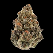 Bruce Banner Auto Autoflowering cannabis flower bud by Growers Choice