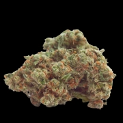 Gorilla Cookies Feminized cannabis flower bud by Growers Choice