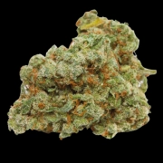 Double xl Banana Sherbet Auto Autoflowering cannabis flower bud by Growers Choice