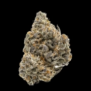Rainbow Runtz Feminized cannabis flower bud by Growers Choice