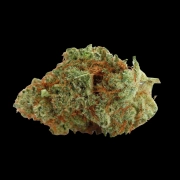 Naranja Biscotti Feminized cannabis flower bud by Growers Choice