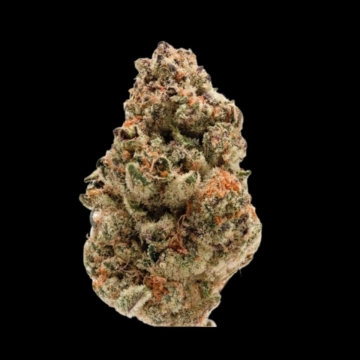 Rainbow Candy Feminized cannabis flower bud by Growers Choice