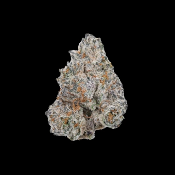White Truffle Feminized cannabis flower bud by Growers Choice
