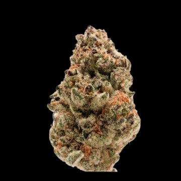 Zkittlez Feminized cannabis flower bud by Growers Choice