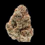 Octane Fire Feminized cannabis flower bud by Growers Choice