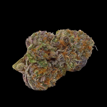 Purple Dosi Punch Feminized cannabis flower bud by Growers Choice
