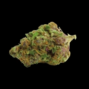 Red Banana Berry Feminized cannabis flower bud by Growers Choice