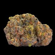 San Fernando Valley x The Purps Feminized cannabis flower bud by Growers Choice