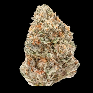 Double xl Watermelon Weddingcake Auto Autoflowering cannabis flower bud by Growers Choice