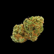 Grapefruit x Bubblegum Autoflowering cannabis flower bud by Growers Choice