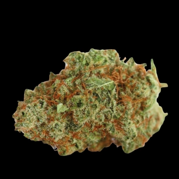 Monsterbud Autoflowering cannabis flower bud by Growers Choice