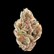 Sour Zkittlez Autoflowering cannabis flower bud by Growers Choice