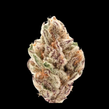 Sour Zkittlez Autoflowering cannabis flower bud by Growers Choice