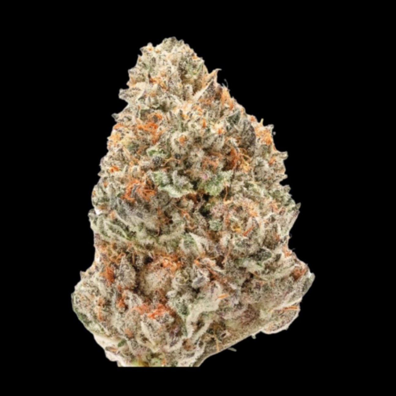 Watermelon Wedding Cake – Growers Choice – Feminized