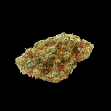 White Fire OG Feminized cannabis flower bud by Growers Choice