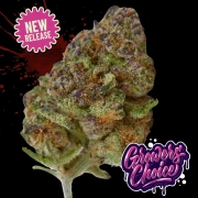 Blue Zushi Feminized cannabis flower bud by Growers Choice
