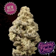 Mac ‘N’ Cheese Feminized cannabis flower bud by Growers Choice