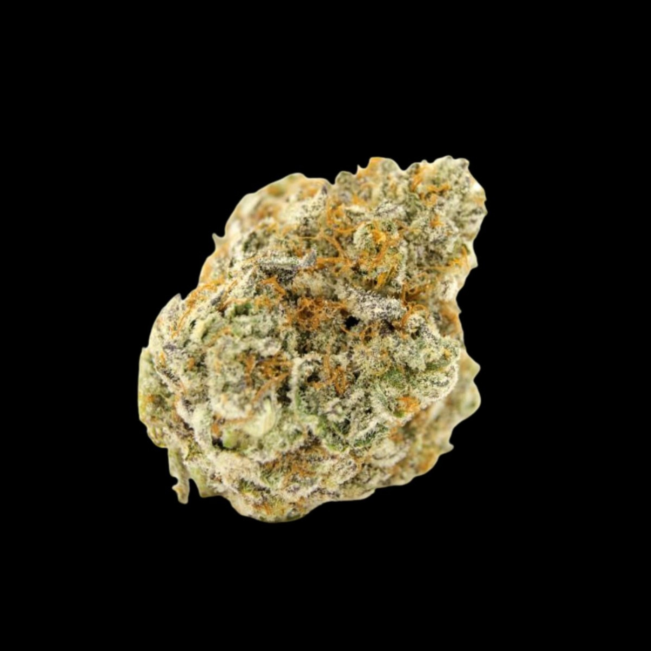 Forbidden Runtz – Growers Choice – Feminized