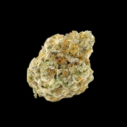 Forbidden Runtz Feminized cannabis flower bud by Growers Choice