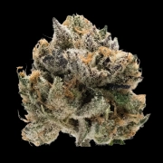 Double xl Tropical Cookies Autoflowering cannabis flower bud by Growers Choice