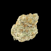 Permanent White Marker Feminized cannabis flower bud by Growers Choice